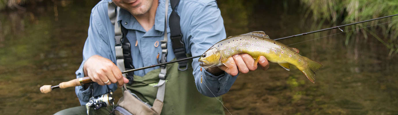 La pêche à la truite