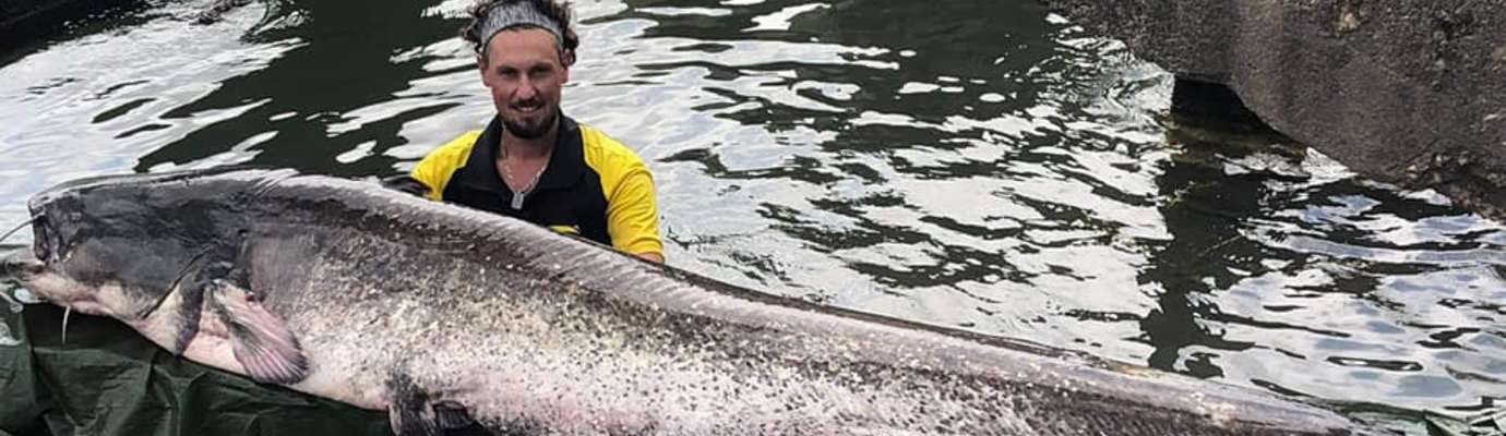 Quelles cannes pour pêcher la carpe ? - Peche et Poissons  Carnassiers,  carpe, truite, mer, coup… Toute l'actu de la pêche